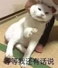  表情包国庆想要带你去浪漫的土耳其,看戏