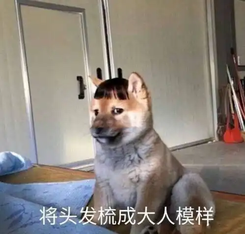  表情包五十三期