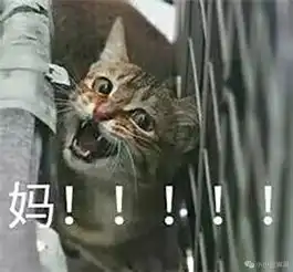  暑假,一半妈妈正在被杀死