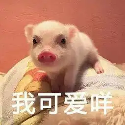  今日表情推荐,527