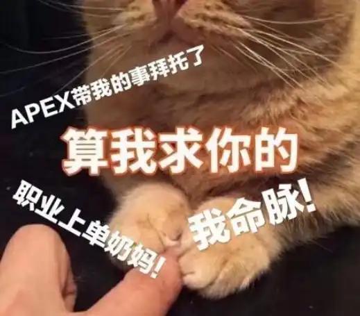  任天堂labo推出vr套装apex英雄迎平衡改动全境封锁2真人预告好人公布