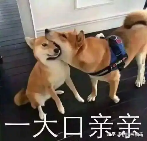  请问如图表情包有没有可爱一点的替代