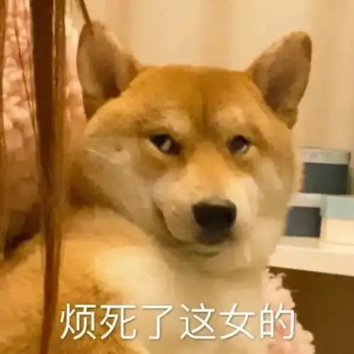 嘉明表情包