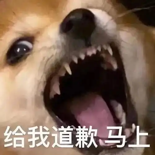  幽默搞笑表情包小姑娘,这么晚还不睡