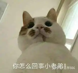 我确实是个直男表情包出