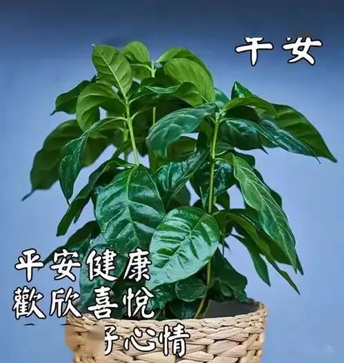 心痛表情包动态图片裂开