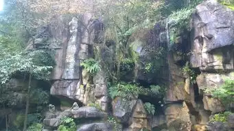  峨眉山游记