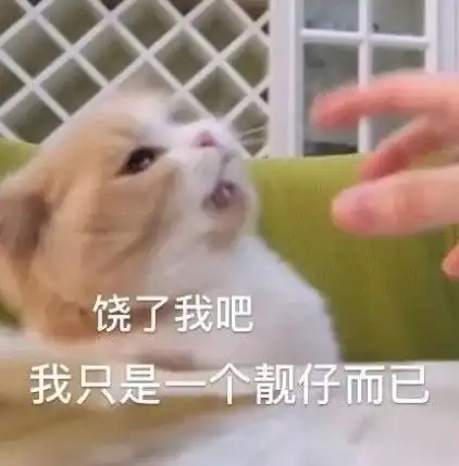  废柴表情包搜罗2020517
