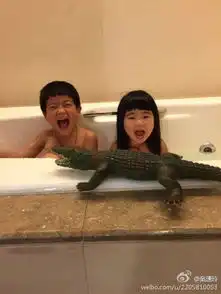  曹格儿女洗澡照曝光模仿鳄鱼表情神同步