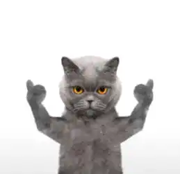 huh猫表情包动图头像