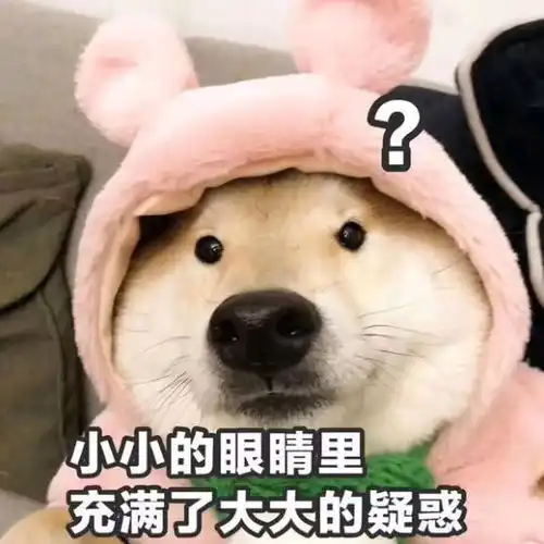  表情搞笑萌宠表情包小小的眼睛里,充满了大大的疑惑表情