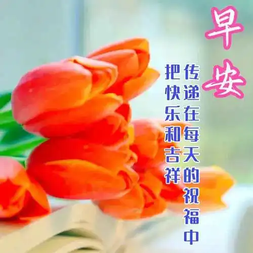  今日最新早上好表情包图片大全,愿你事事顺心,快乐相随