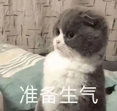 一秒都不憋,生气就写脸上的星座