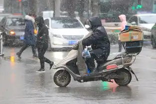  郑州雪花漫天飞舞,路上行人纷纷冻成表情包