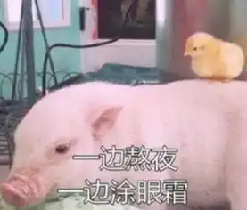  低至29.9元上海野生动物园特惠来了半价嗨玩,别错过