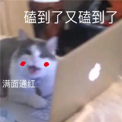  热门磕cp的搞笑表情包最新我可以不结婚但是我的cp一定要结婚