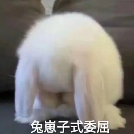 憋笑表情包小女孩兔崽子