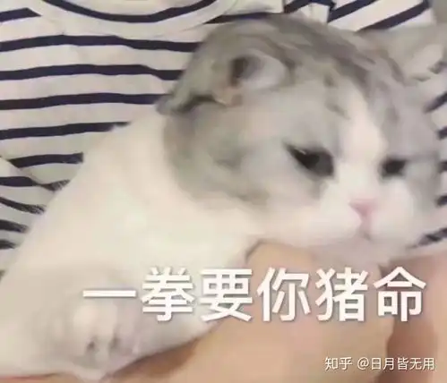  不抽烟,喝酒,打牌的男人是好男人吗