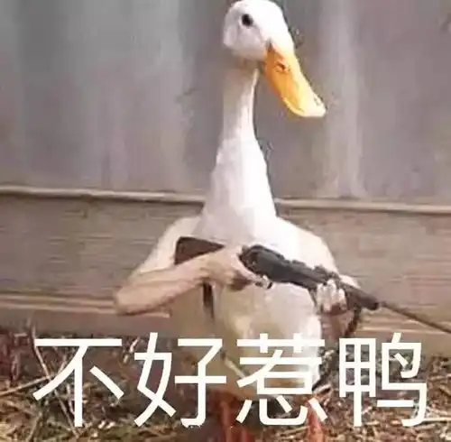 违章表情包海燕