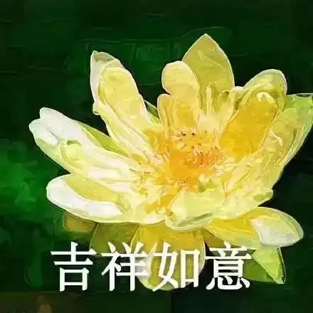  超级土味表情包