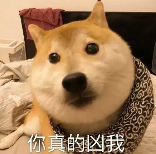 huh猫表情包动图啊朋友