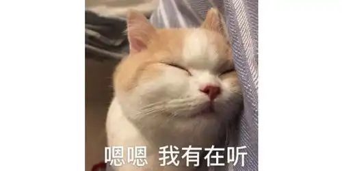  为什么要给猫咪绝育猫咪绝育到底要注意啥上
