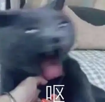 形容心情抓狂的表情包问