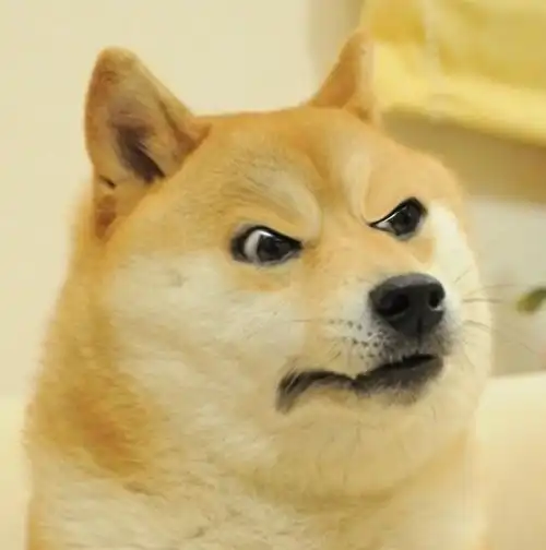  全世界最著名的狗狗去世了