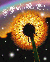  夜晚一个人是孤独的,尤其是在想你的时候,祝你好梦,晚安