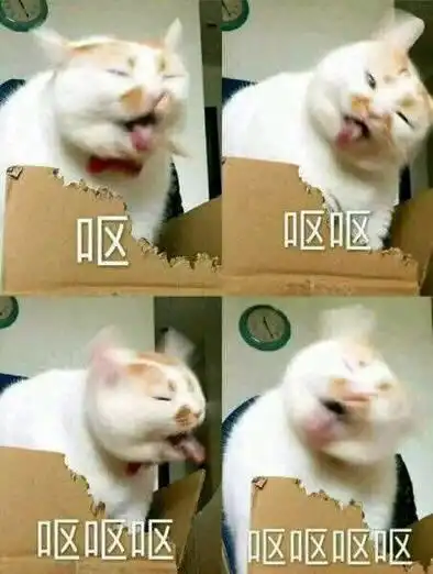 斗鸡眼吐舌头表情包再出