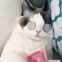  反电诈原创视频三连发,网络不是都挺好