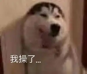  抖音表情包大全丨为什么又是我