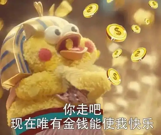  我的大半年财务分析报告