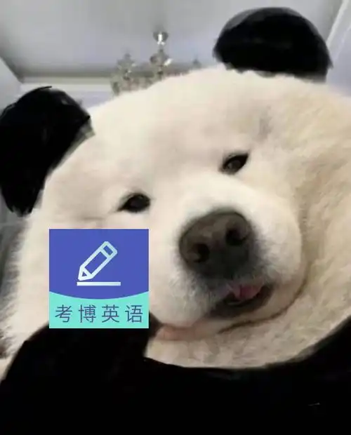抗原自测表情包托腮