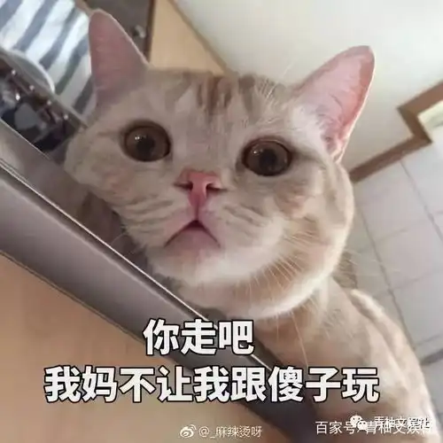 亲爱的我错了表情包傻子