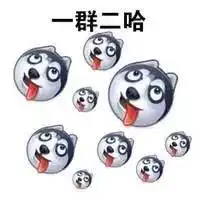  二哈撕家不服管教,被铲屎官挂在了门上