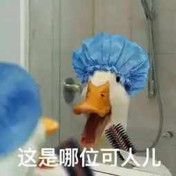 来了武汉军运会最全项目赛程你要去看哪场