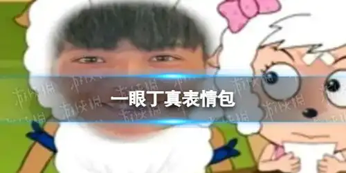 一眼丁真表情包贴吧
