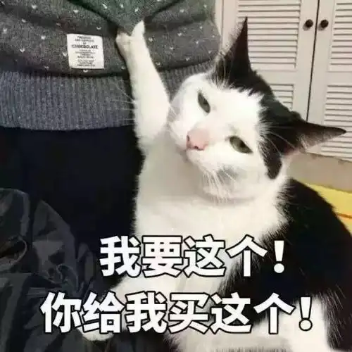 我要买这个表情包给我
