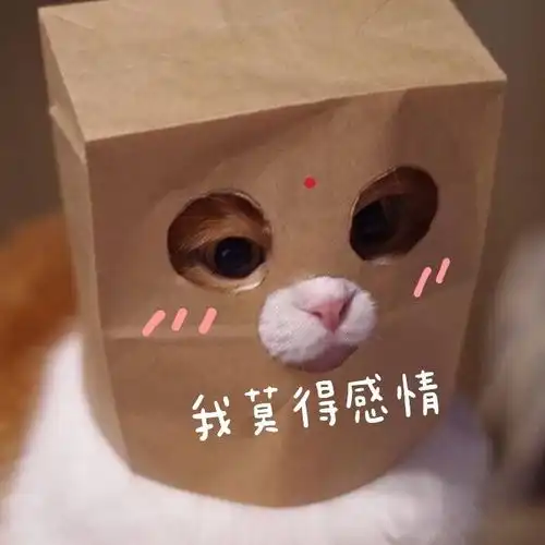  表情包沙雕表情包432期