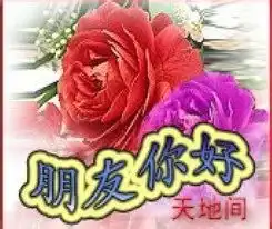  表情与斗图72中老年人表情包3