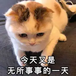  李姐笑话姑姑,我也想乞讨两天,看能不能买个遥控飞机