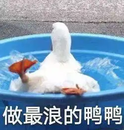  抱歉,可爱就是能为所欲为鸭