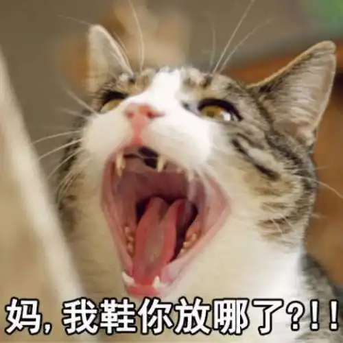  你就站在此地不要走动,我偷一个暑假给你