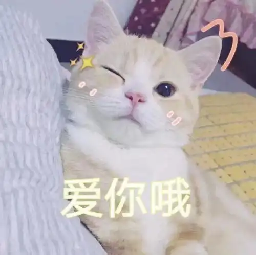  你吃过猫屎吗那味道没有人比我更了解了