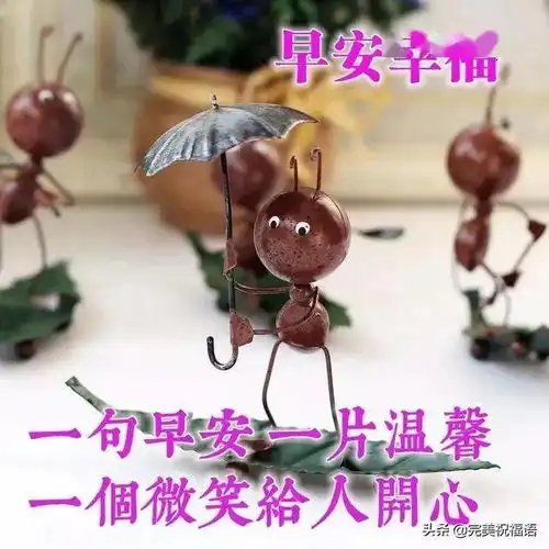  再幸福的人生也有缺憾,再凄凉的人生都有幸福,早安