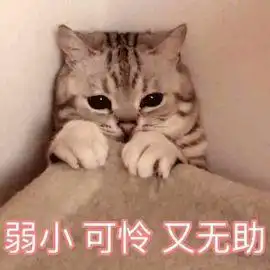  因长得怪被抛弃,被收养后备受宠爱,逆天颜值吸引190万粉丝
