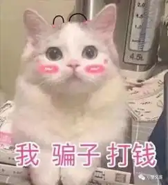 表情包鸭鸭猫叫