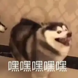 有个带口音的老师是什么体验我头笑没了