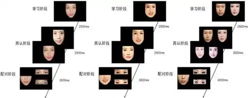  面孔吸引力的认知偏好是什么在影响你的面孔影响力